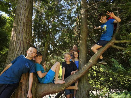 Auf nach Eberbach – ein Ausflug der RvGS