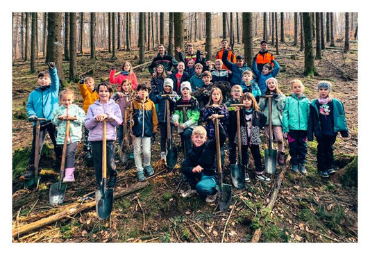 RvGS unterstützt die Baumpflanzaktion von Hessen-Forst.
