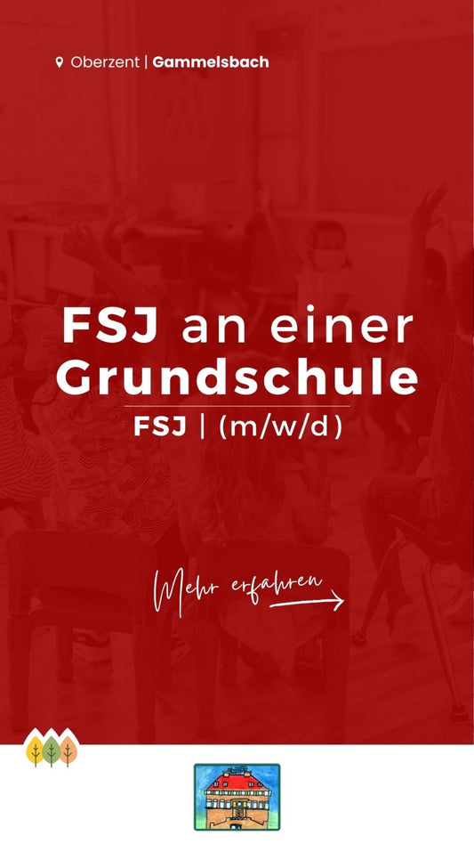 Freiwilliges Soziales Jahr an der RvGS – Teil 2