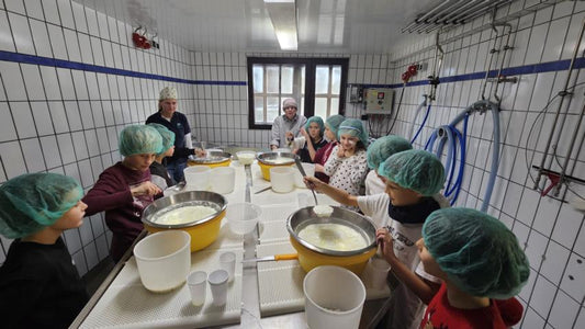 Die Klasse 3/4 der RvGS besucht die Hofkäserei am Schloßberg