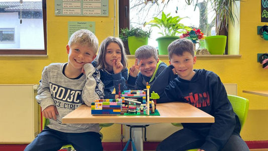 Erkenntnisse aus der Lego AG der RvGS